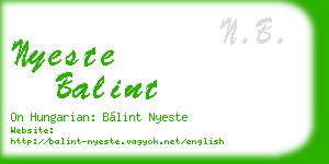 nyeste balint business card